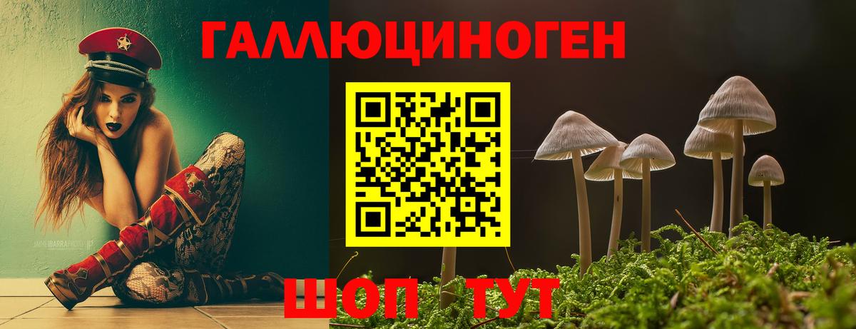 Псилоцибиновые грибы мухоморы Котовск