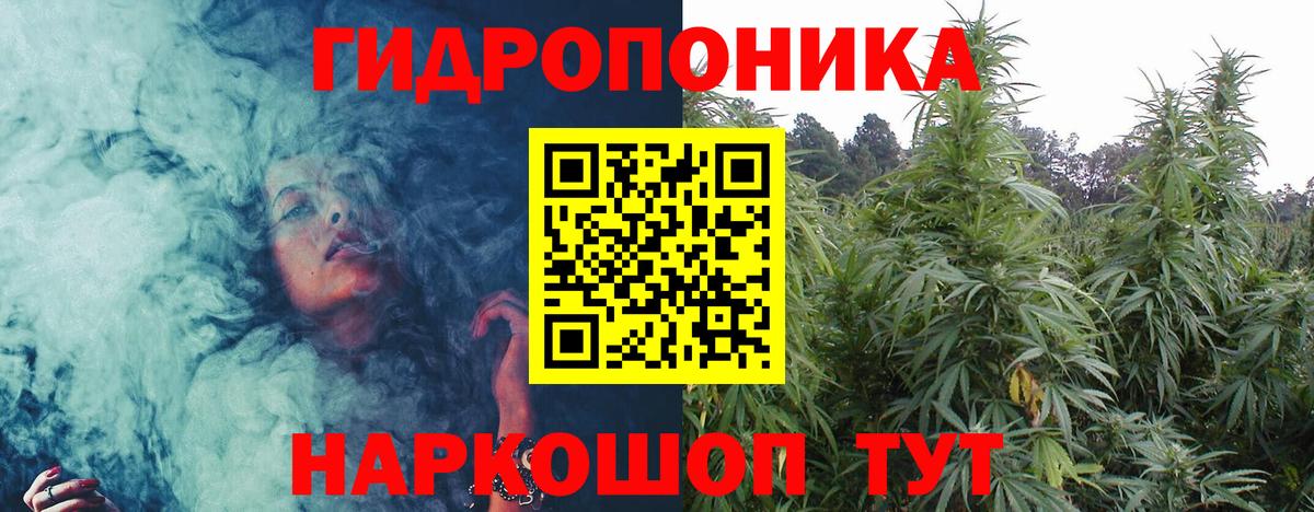 Канабис планчик  Вход с VPN  Бошки марихуана тримм  Котовск  Канабис семена 